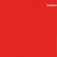 Strawberries Oceans Ships Forest album artwork – The Fireman (Paul McCartney/Youth)