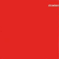 Strawberries Oceans Ships Forest album artwork - The Fireman (Paul McCartney/Youth)