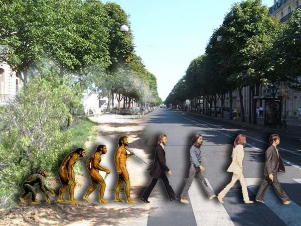 Beatles' evolution