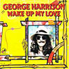 Wake Up My Love single cover