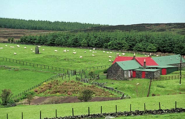 High Park Farm, Campbeltown, Scotland