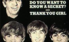 Do You Want To Know A Secret single artwork - USA