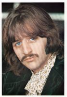 White Album portrait: Ringo Starr