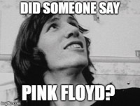 DidSomeoneSayPinkFloyd.jpg