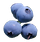 BLUEBERRIES