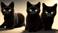 three-cool-black-cats-1.png