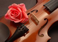 rose-violin-1350298671-view-0-1.jpg