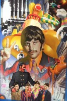 1035x1551-ringo.jpeg