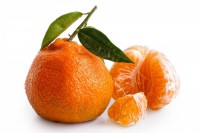 clementine-mandarin-satsuma-tangerine-1.jpg