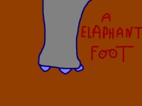 elaphant-foot.jpg